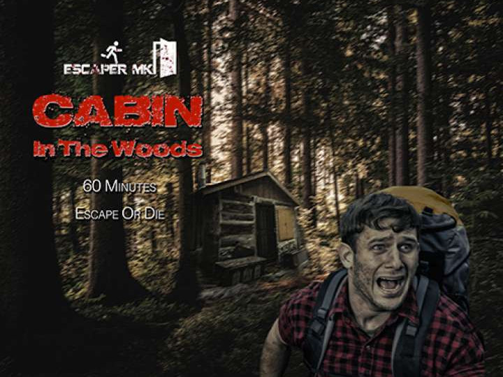Cabin In The Woods photo 1