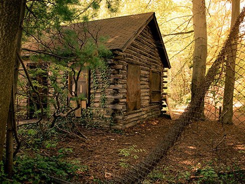 The Cabin in the Woods photo 1