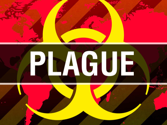 Plague photo 1
