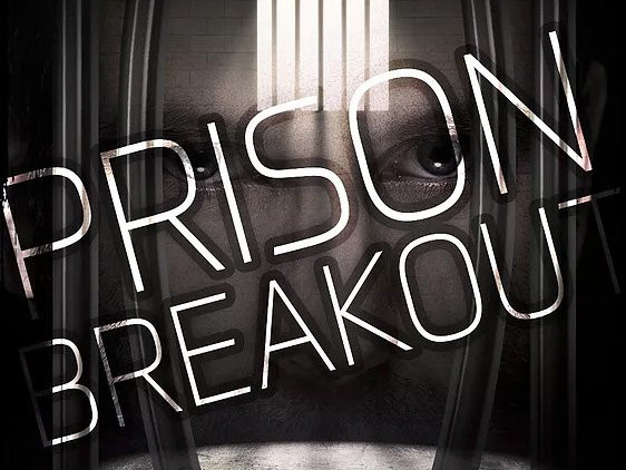 Prison Breakout photo 1