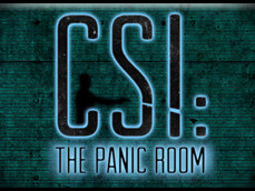 CSI: The Panic Room photo 1