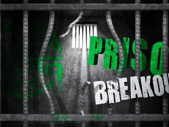 Prison Breakout photo 1